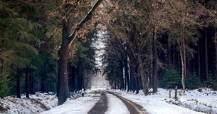 Αθαν. Καραπέτσας: Αναμνήσεις από τον χιονιά