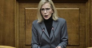 Παρέμβαση της Γιώτας Πούλου στην υποεπιτροπή νησιωτικών και ορεινών περιοχών