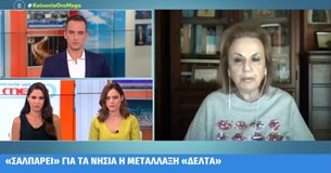 Παγώνη: Μελέτες δείχνουν πως τον Δεκαπενταύγουστο θα «χτυπάμε» 10.000 κρούσματα την ημέρα