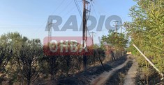 Βραχυκύκλωμα σε κολώνα της ΔΕΗ προκάλεσε φωτιά έξω από την Θήβα