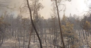 Στο μέτωπο της πυρκαγιάς στο Δήμο Μαντουδίου-Λίμνης-Αγ. Αννας βρέθηκε ο Σπύρος Πνευματικός