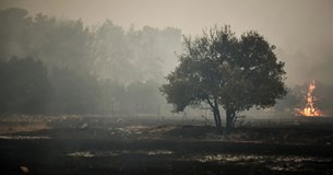 Φωτιά στα Βίλια: Σε πλήρη εξέλιξη η πυρκαγιά - Μάχη κοντά στους οικισμούς Οινόη και Πανόραμα Φωτιά στα Βίλια: Σε πλήρη εξέλιξη η πυρκαγιά - Μάχη κοντά στους οικισμούς Οινόη και Πανόραμα