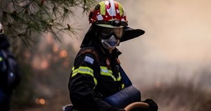 Πυρκαγιά στον Ορχομενό - Κόντεψαν να καούν σπίτια