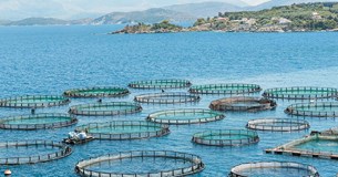 Έλεγχο των επιφανειών στις ιχθυοκαλλιέργειες του Κορινθιακού Κόλπου ζητά η Δημοτική Συνεργασία Ευθύνης