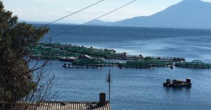 Επίσκεψη στις ιχθυοκαλλιέργειες Λάρυμνας και Μαλεσίνας έκανε ο Δήμαρχος Λοκρών