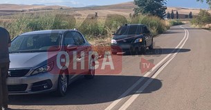 Έκτακτο: Βρέθηκε πτώμα σε αποσύνθεση σε χωράφι στο Μουρίκι Θήβας (Βίντεο)