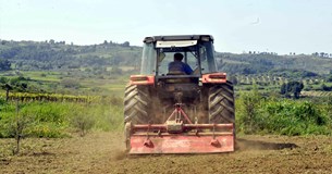 Τρεις προτάσεις της Κατερίνας Μπατζελή για την στήριξη των αγροτών στη Στερεά Ελλάδα