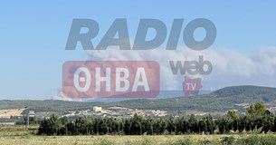 Έκτακτο: Ξέσπασε μεγάλη φωτιά στα Δερβενοχώρια Βοιωτίας