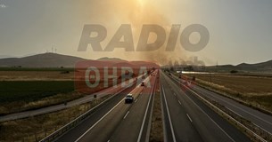 Μεγάλη κινητοποίηση της πυροσβεστικής για την φωτιά στην Υλίκη Βοιωτίας