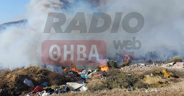 Έκτακτο: Μεγάλη φωτιά ξέσπασε στα Χώστια Βοιωτίας - Μεγάλη κινητοποίηση για την κατάσβεσή της (Φωτογραφίες)