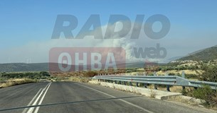 Έκτακτο: Μήνυμα 112 για την φωτιά στα Χώστια - Απομάκρυνση από παραλία Σαράντι προς Θίσβη