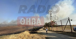 Θήβα: Αγανακτισμένοι πολίτες ζητούν εναέρια μέσα για να μην καεί το Μοσχοπόδι