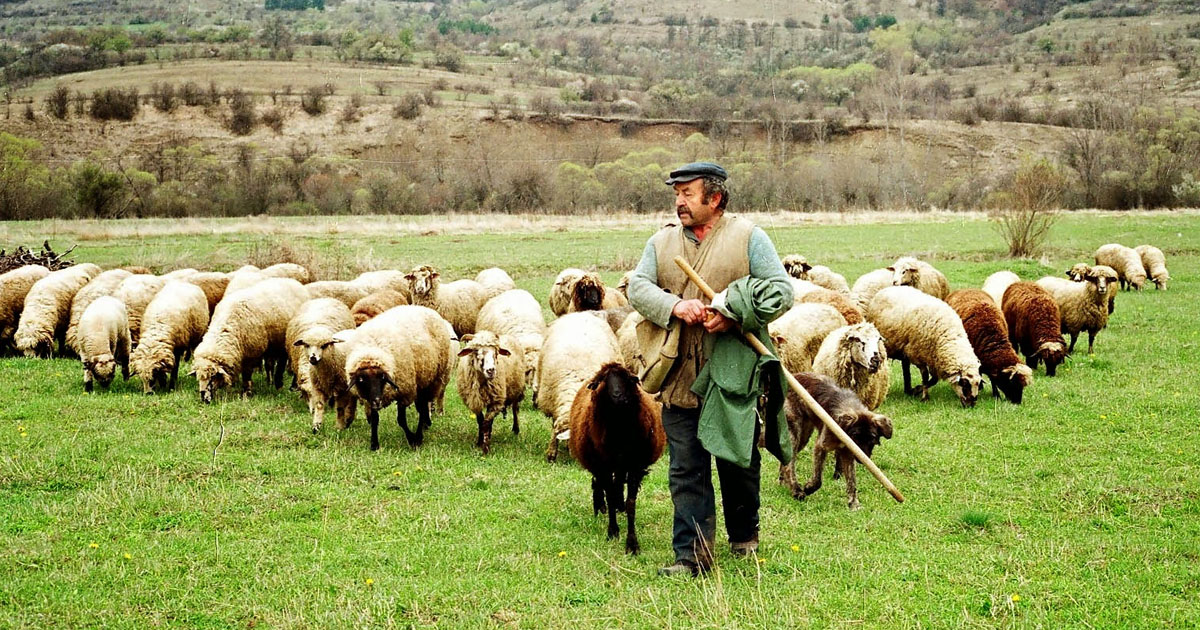 Ερώτηση Μουλκιώτη στη Βουλή για την υποβολή δηλώσεων ΟΣΔΕ