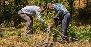 Ενημέρωση του Δ. Θηβαίων για την παράταση στον Κανονισμό πυροπροστασίας ακινήτων εντός και πλησίον δασικών εκτάσεων