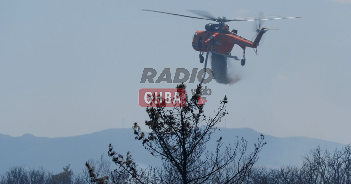 Μεγάλη κινητοποίηση της Πυροσβεστικής σε φωτιά στην Υλίκη