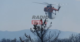 Μεγάλη κινητοποίηση της Πυροσβεστικής σε φωτιά στην Υλίκη