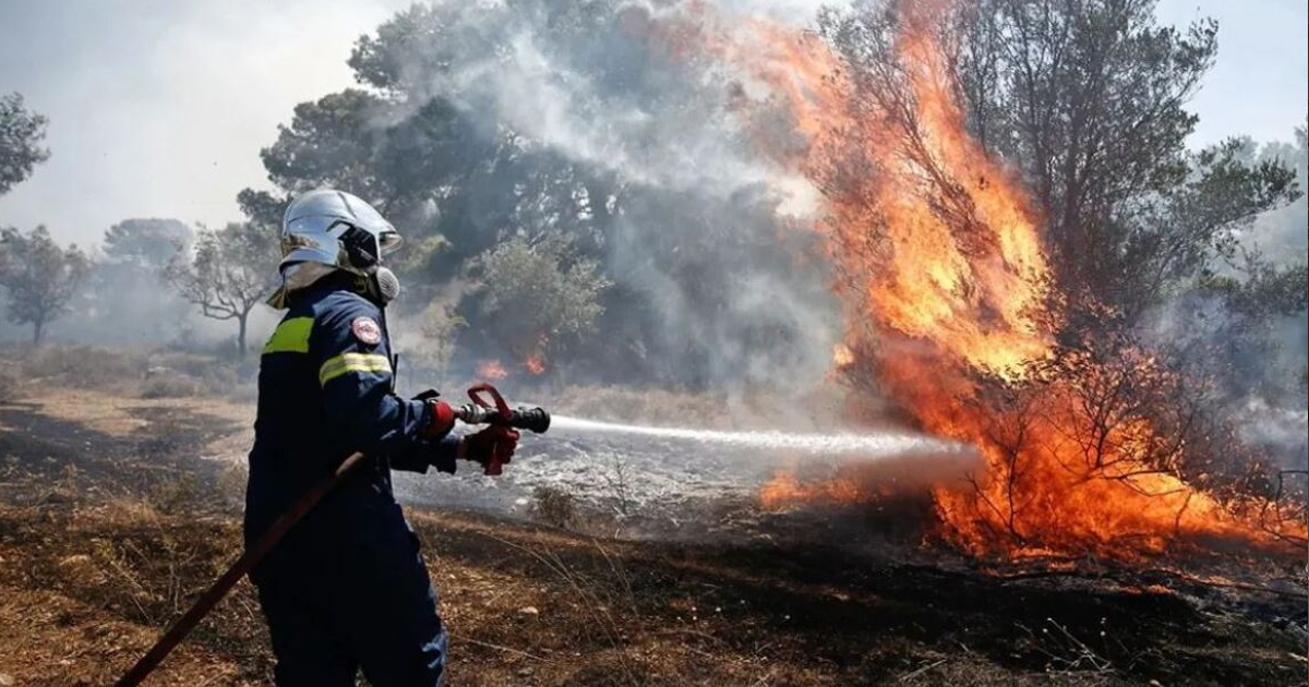 Τσουχτερό πρόστιμο σε Κτηνοτρόφο στο Δίστομο από την Πυροσβεστική