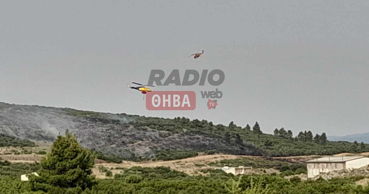 Υπό μερικό έλεγχο η πυρκαγιά στο Πάνακτο Βοιωτίας