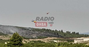 Υπό μερικό έλεγχο η πυρκαγιά στο Πάνακτο Βοιωτίας