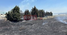 Ξέσπασε μεγάλη φωτιά έξω από την Θήβα - Ισχυρές πυροσβεστικές δυνάμεις επιχειρούν στο σημείο (Βίντεο-Φωτό)
