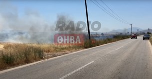 Ξέσπασε μεγάλη φωτιά έξω από την Θήβα - Ισχυρές πυροσβεστικές δυνάμεις επιχειρούν στο σημείο (Βίντεο-Φωτό)
