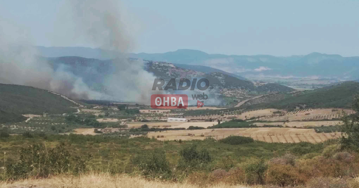 Σε εξέλιξη μεγάλη φωτιά στον Αγιο Βλάσιο του Δήμου Λεβαδέων
