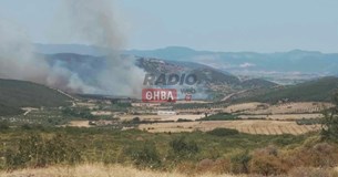 Σε εξέλιξη μεγάλη φωτιά στον Αγιο Βλάσιο του Δήμου Λεβαδέων