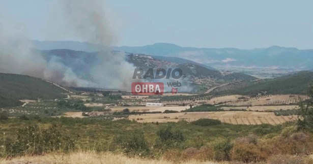Σε εξέλιξη μεγάλη φωτιά στον Αγιο Βλάσιο του Δήμου Λεβαδέων