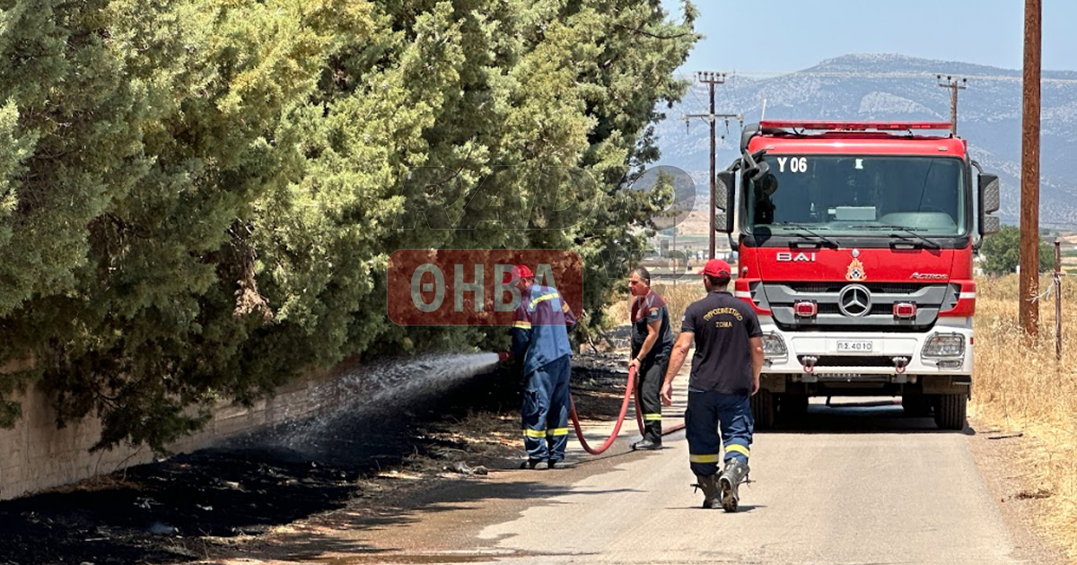 Ξέσπασε φωτιά σε επιχείρηση στη Θήβα (Βίντεο-Φωτό)