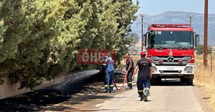 Ξέσπασε φωτιά σε επιχείρηση στη Θήβα (Βίντεο-Φωτό) Ξέσπασε φωτιά σε επιχείρηση στη Θήβα (Βίντεο-Φωτό)