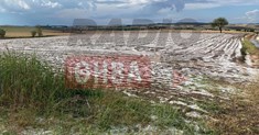Είκοσι λεπτά χαλάζι ήταν αρκετά για να καταστρέψουν πάνω από 10.000 στρέμματα