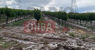 Είκοσι λεπτά χαλάζι ήταν αρκετά για να καταστρέψουν πάνω από 10.000 στρέμματα