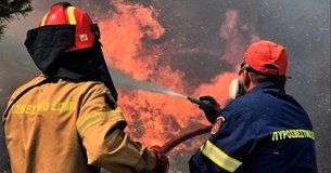 Ξέσπασε φωτιά στον Αγιο Βασίλη Βοιωτίας Ξέσπασε φωτιά στον Αγιο Βασίλη Βοιωτίας