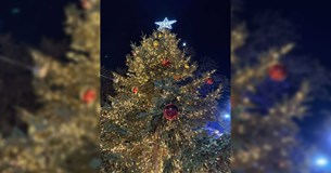 Σε ζεστό εορταστικό κλίμα το άναμμα του Δέντρου στην Πλατεία της Θήβας Σε ζεστό εορταστικό κλίμα το άναμμα του Δέντρου στην Πλατεία της Θήβας