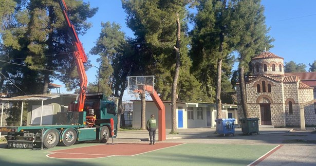 Καθαρισμό κάμπιας των πεύκων σε σχολεία του Δήμου Θηβαίων (ΦΩΤΟ)
