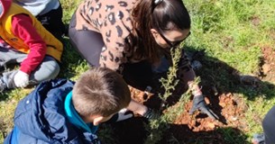 Με μεγάλη επιτυχία πραγματοποιήθηκε δενδροφύτευση στις Πλαταιές