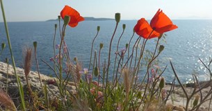 Καιρός: Αναλυτική πρόγνωση έως την Κυριακή του Πάσχα - Ζέστη μέχρι το Μεγάλο Σάββατο, πώς θα σουβλίσουμε αρνί