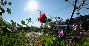 Με ανοιξιάτικο καιρό ξεκινά η επιστροφή των εκδρομέων του Πάσχα - Αναλυτικά η πρόγνωση της ΕΜΥ