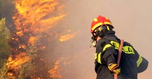 Πυρκαγιά στο Κυπαρίσσι Ευβοίας - Ισχυρή πυροσβεστική δύναμη στο σημείο