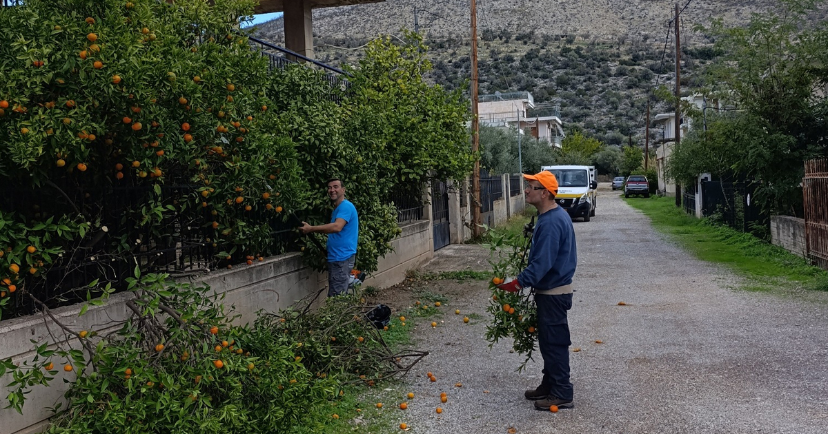 Σεραφείμ Δέδες: Σαράντι καθαρό, δρόμοι ανοιχτοί για όλους!