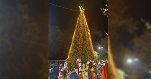 Αυτό είναι το πρόγραμμα Φωταγώγησης Χριστουγεννιάτικων Δέντρων του Δήμου Θηβαίων
