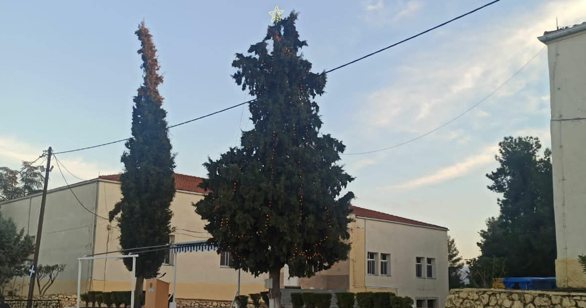 Το Χριστουγεννιάτικο δέντρο άναψε το ΚΕΠΒ-ΚΕΝ Θήβας