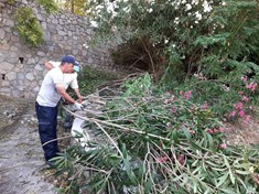Δήμος Θηβαίων : «Γειτονιά σε τάξη» και στη συνοικία «Πυρί»