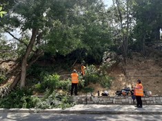 Δήμος Θηβαίων : «Γειτονιά σε τάξη» και στη συνοικία «Πυρί»
