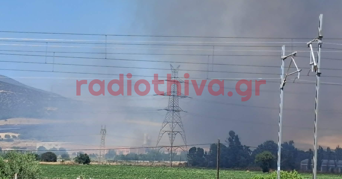 Ξέσπασε φωτιά στον Ελεώνα