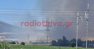 Ξέσπασε φωτιά στον Ελεώνα