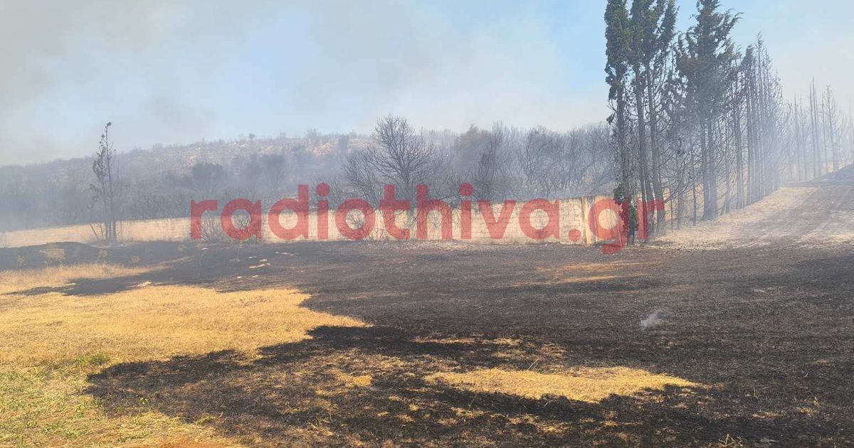 Διακοπή της κυκλοφορίας λόγω της πυρκαγιάς στο Ακραίφνιο