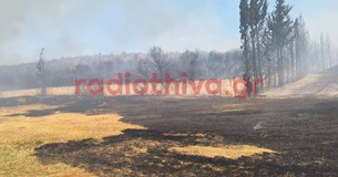 Διακοπή της κυκλοφορίας λόγω της πυρκαγιάς στο Ακραίφνιο Διακοπή της κυκλοφορίας λόγω της πυρκαγιάς στο Ακραίφνιο