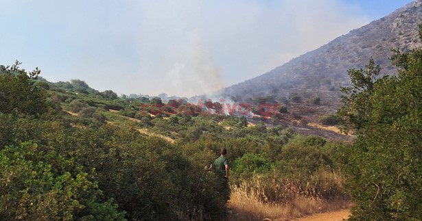 Ξέσπασε φωτιά στο Ανθοχώρι Βοιωτίας - Κινητοποιήθηκαν εναέρια μέσα