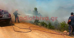 Ξέσπασε φωτιά σε δασική περιοχή στον Αγιο Βασίλη Θήβας